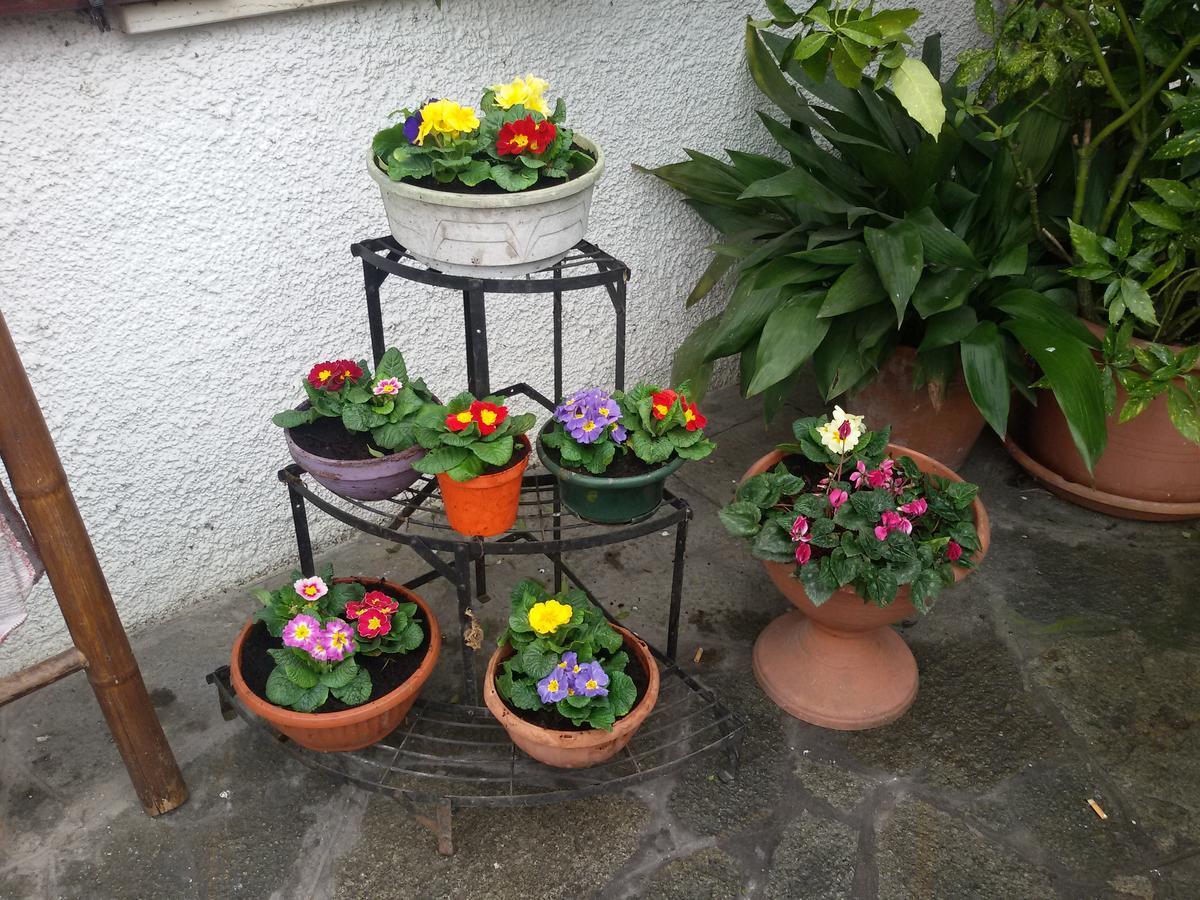 Gasthof Brigafatta Antica Vigasio